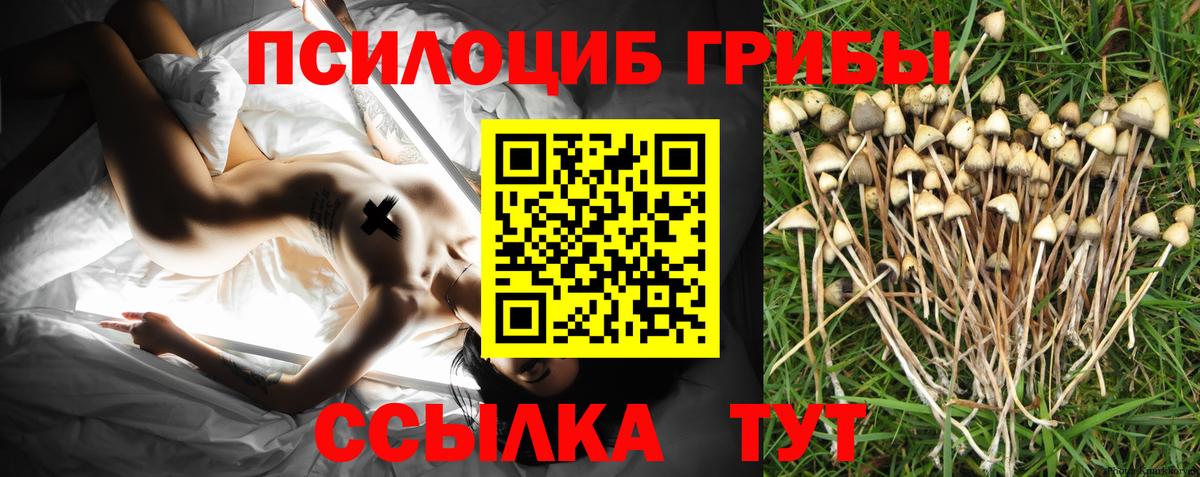 Галлюциногенные грибы ЛСД Новокуйбышевск