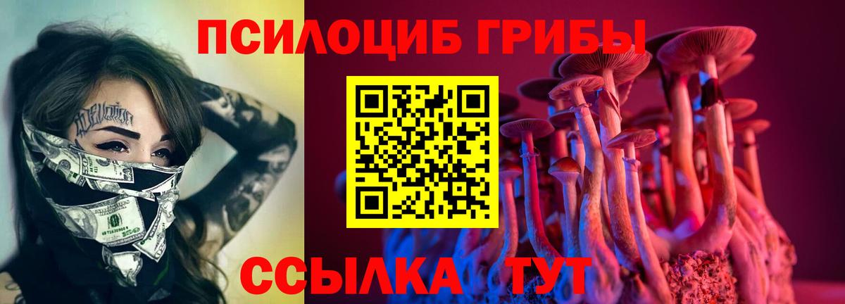 Новокуйбышевск  Псилоцибиновые грибы мицелий  Вход с VPN 