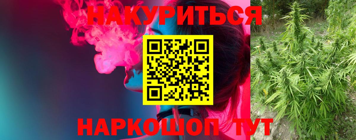 Канабис план  Канабис планчик  Марихуана Bruce Banner  Вход с VPN  Новокуйбышевск  Конопля OG Kush 